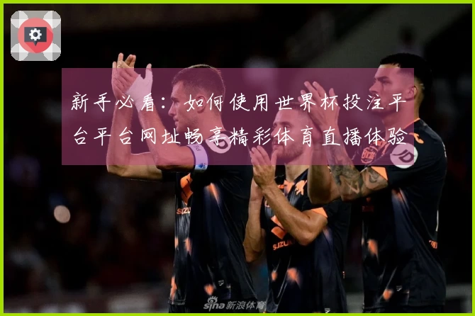 新手必看：如何使用世界杯投注平台平台网址畅享精彩体育直播体验