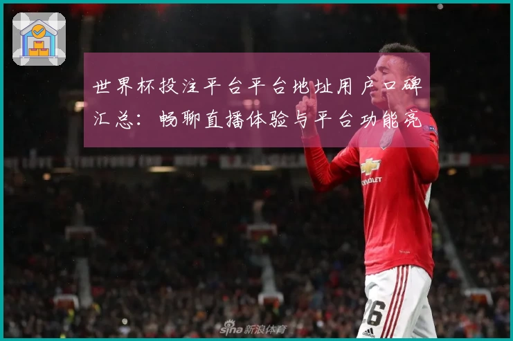 世界杯投注平台平台地址用户口碑汇总：畅聊直播体验与平台功能亮点