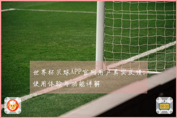 世界杯买球APP官网用户真实反馈:使用体验与功能详解