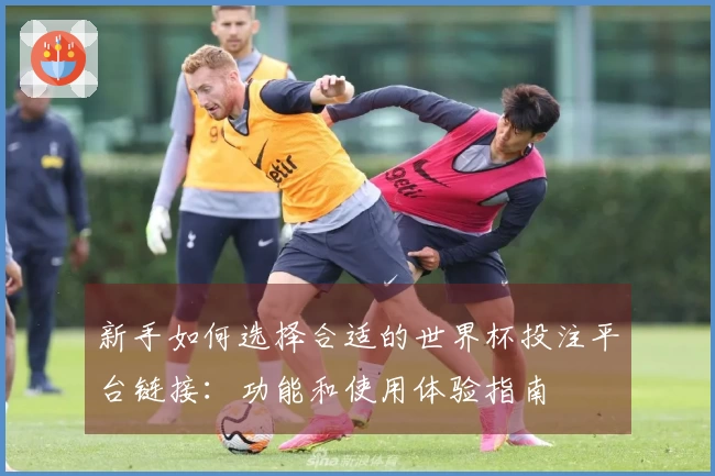 新手如何选择合适的世界杯投注平台链接:功能和使用体验指南