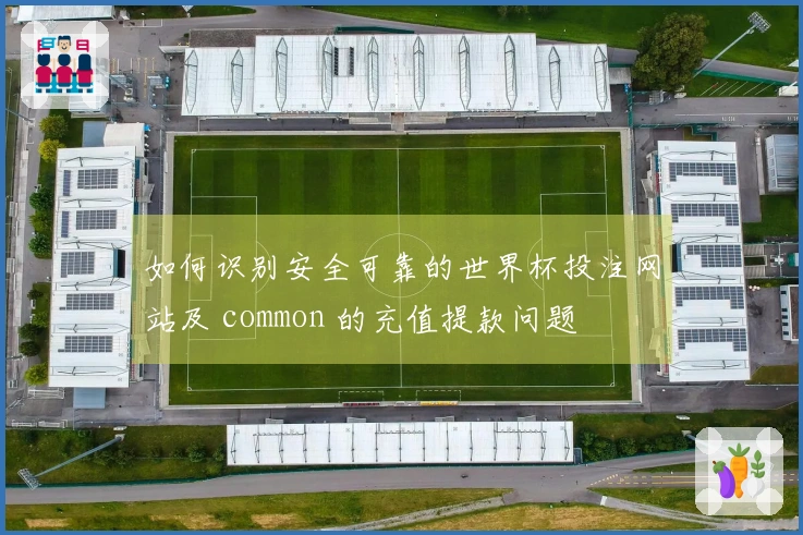 如何识别安全可靠的世界杯投注网站及 common 的充值提款问题