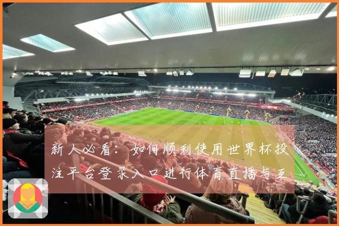 新人必看：如何顺利使用世界杯投注平台登录入口进行体育直播与互动体验