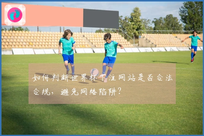 如何判断世界杯下注网站是否合法合规,避免网络陷阱?