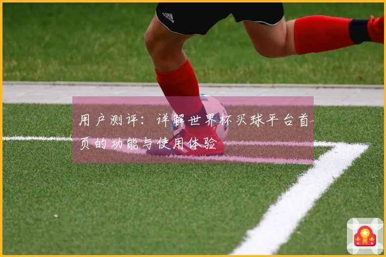 用户测评:详解世界杯买球平台首页的功能与使用体验