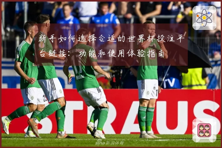 新手如何选择合适的世界杯投注平台链接：功能和使用体验指南