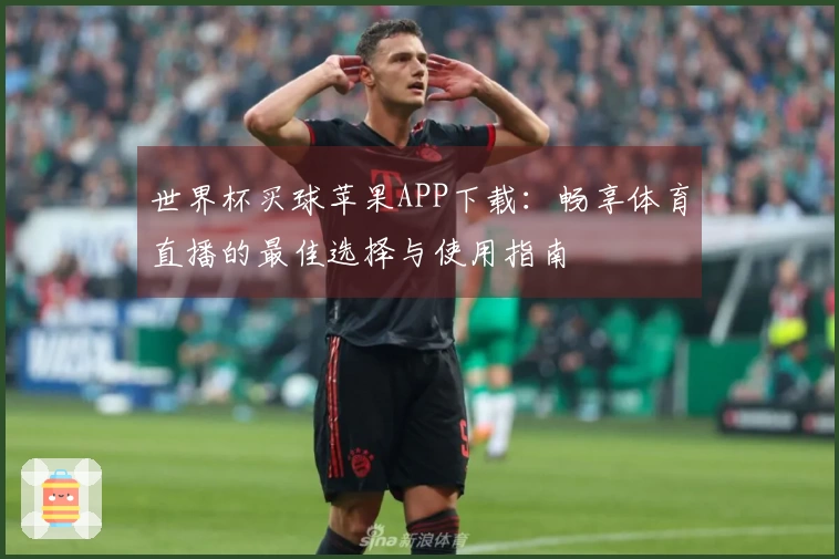 世界杯买球苹果APP下载：畅享体育直播的最佳选择与使用指南