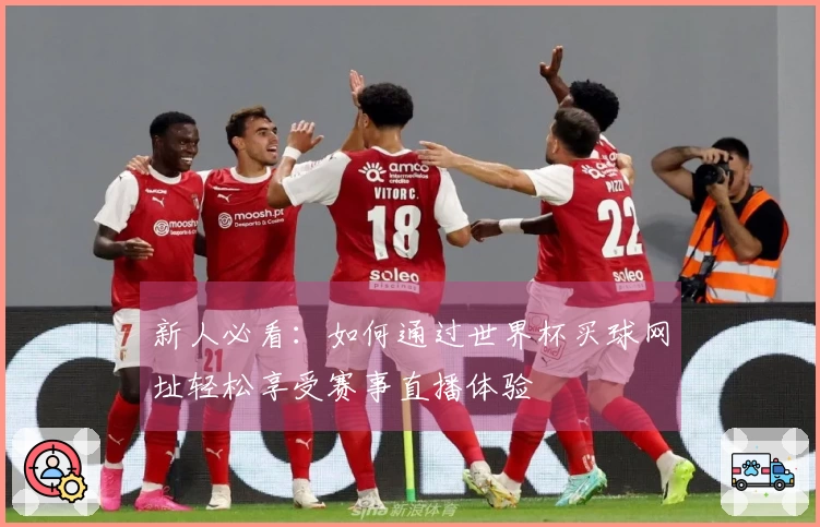 新人必看：如何通过世界杯买球网址轻松享受赛事直播体验