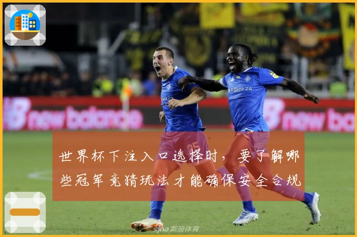 世界杯下注入口选择时，要了解哪些冠军竞猜玩法才能确保安全合规？