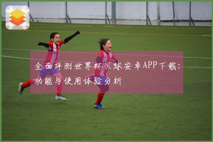 全面评测世界杯买球安卓APP下载：功能与使用体验分析
