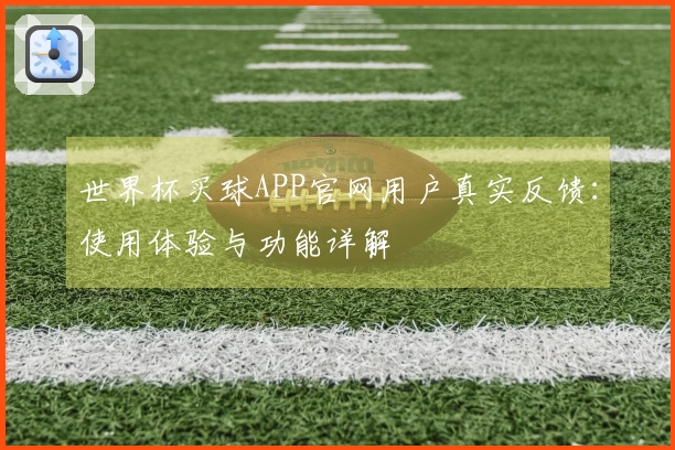 世界杯买球APP官网用户真实反馈：使用体验与功能详解